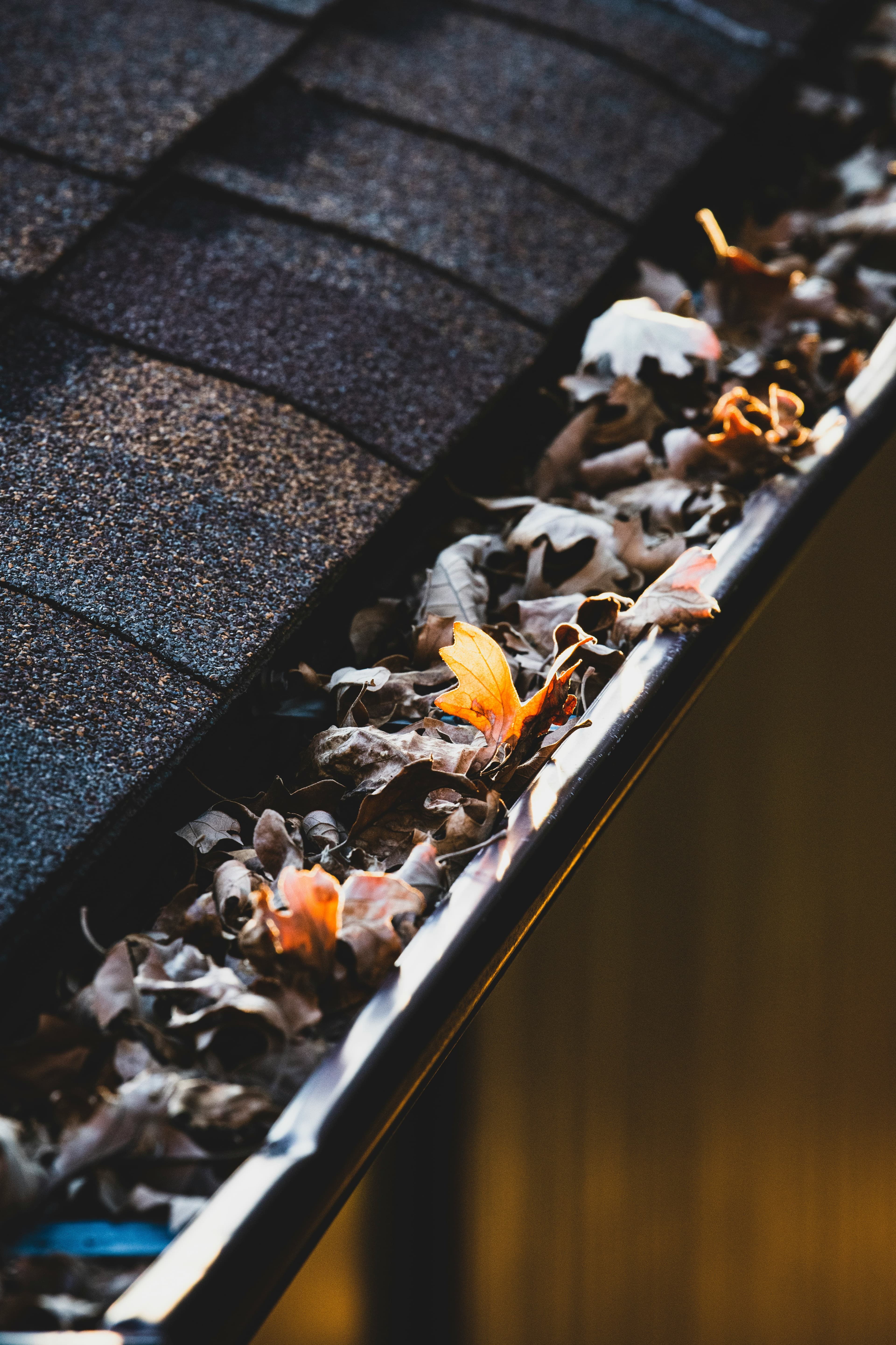 Gutter Cleaning
